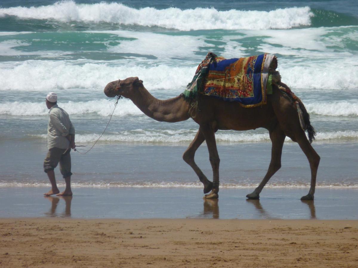 Bed and Breakfast Tigmi Blue - Imsouane Surf Et Ocean Екстер'єр фото